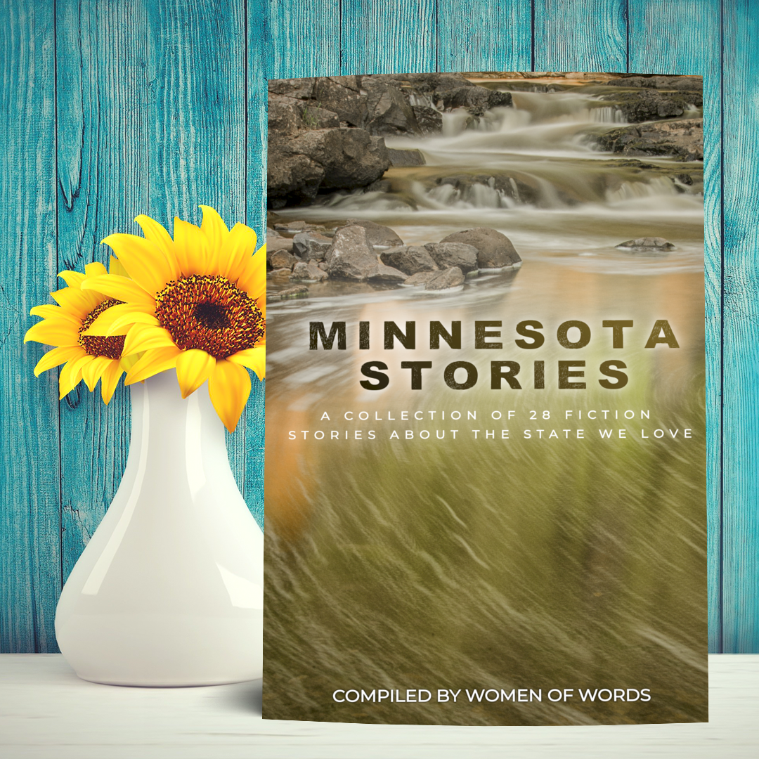 MINNESOTA STORIES book cover